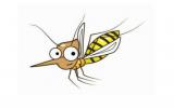 联合国官员：利用核辐射使蚊子不育，能帮助美洲防控寨卡疫情