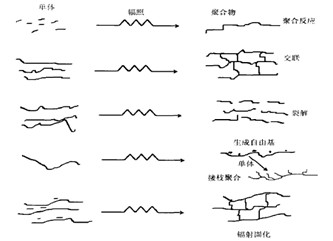 辐照技术在高分子材料领域的用途