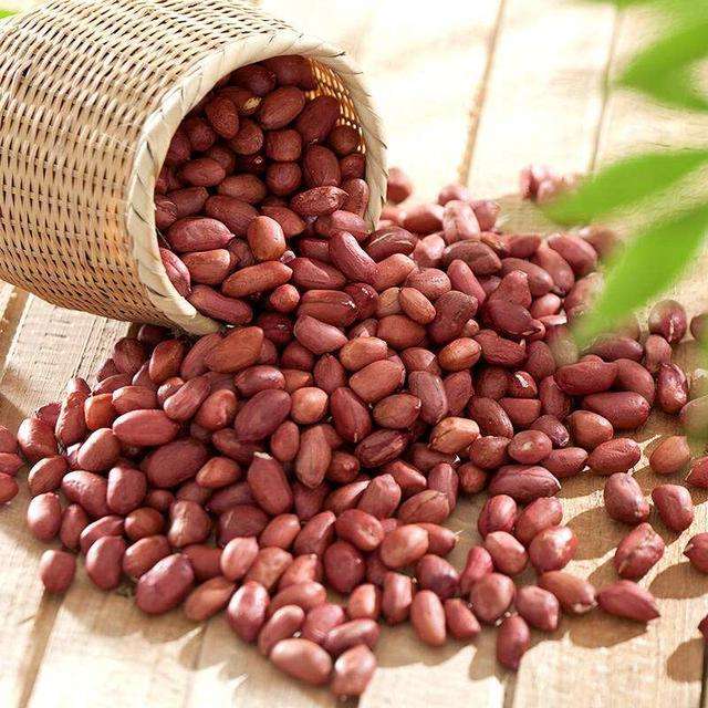  应用辐照变异选育花生的新品系