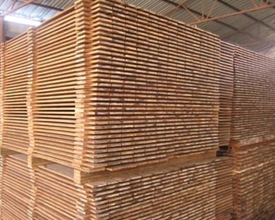 辐照技术在竹材中的应用研究