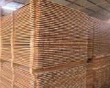 辐照技术在竹材中的应用研究