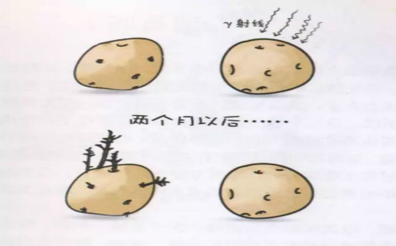 辐照保鲜的食品可以吃吗？ 