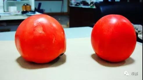 高频电磁场辐照农副产品保鲜技术