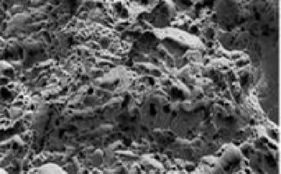 中国抗中子辐照钢CLAM结构可靠性研究取得新进展