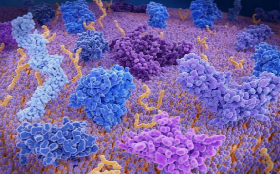 核医学成像可以监测黑色素瘤患者的治疗效果 