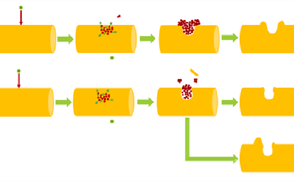 重离子辐照一维纳米材料研究获进展