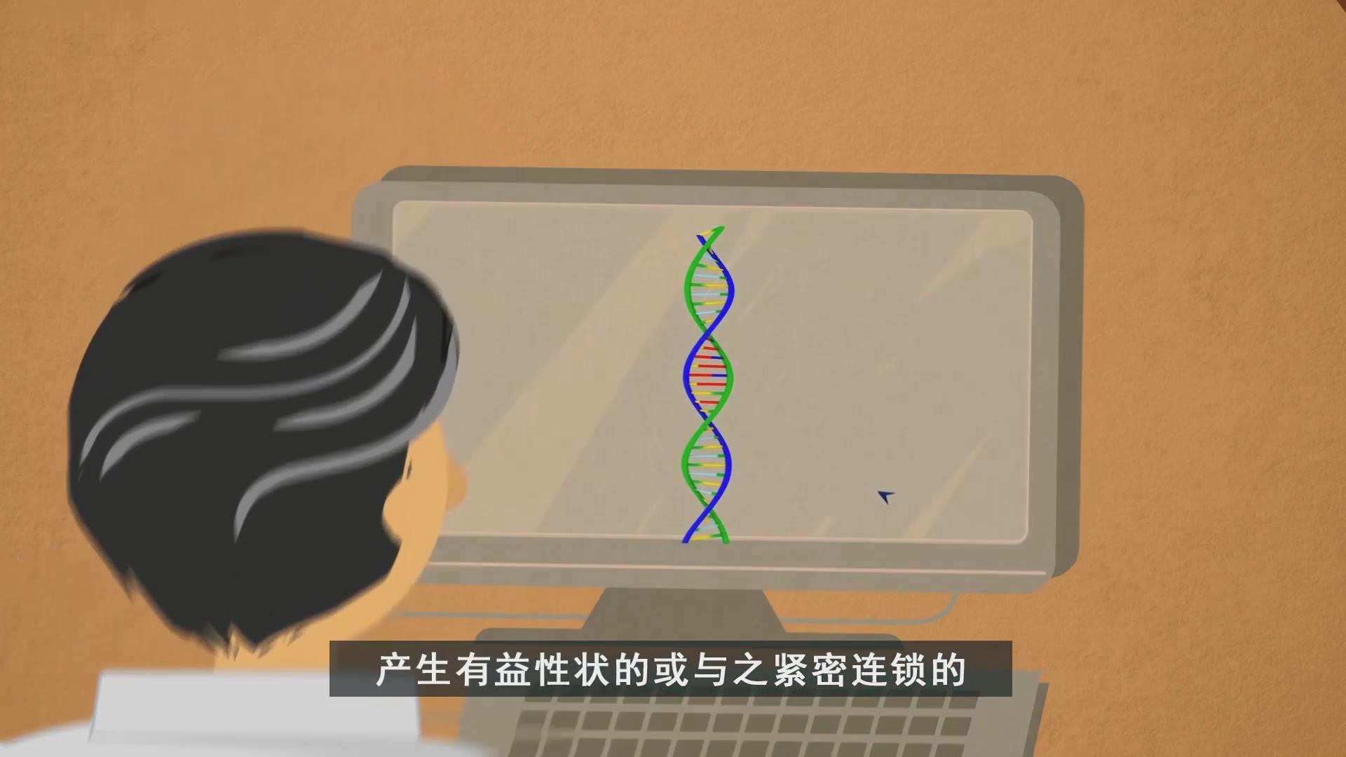利用核技术开展标记辅助植物育种