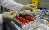 国际原子能机构启动五年项目 利用核技术鉴别高价食品真伪