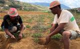 借助核技术控制马达加斯加的土壤侵蚀和退化