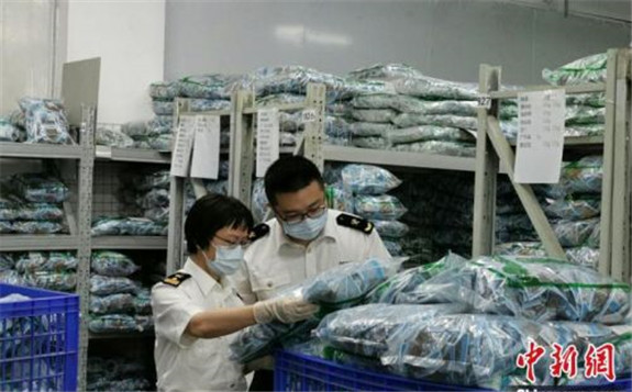 辐照检疫处理助力广州关区中药材出口增长迅猛 出口货值居全国首位