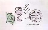 公众科普 | 辐照技术如何阻止害虫繁殖？
