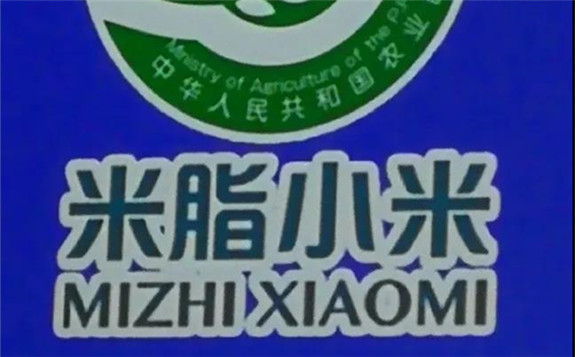 貂蝉故里米脂县：久负盛名的“米脂小米”乘上了航天育种“火箭专车”