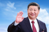 习近平向国际热核聚变实验堆计划重大工程安装启动仪式致贺信