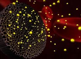 新型纳米颗粒有望提高放射性药物的效率
