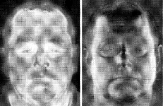 美国陆军获得在黑暗环境下实现3D人脸生物识别技术专利