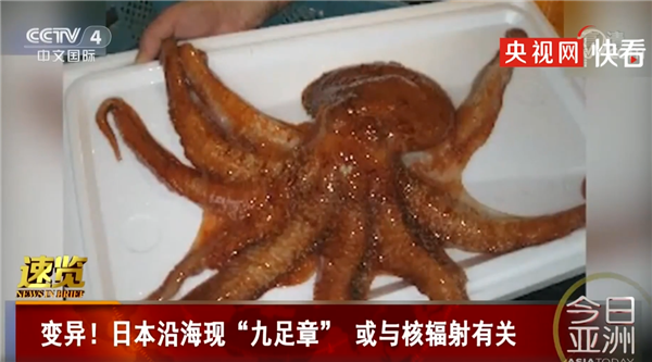 变异！日本沿海现九足章鱼或与核辐射有关