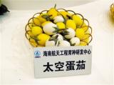 航天育种新产品 “太空蛋茄”引关注