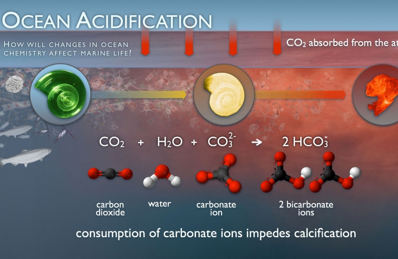 利用核技术应对二氧化碳排放增加导致的海洋酸化问题
