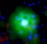 ESA发布新图像展示“此前在X射线光下从未见过的新型恒星”