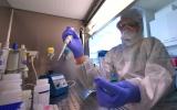 IAEA：重要检测设备助力各国抗击新冠肺炎