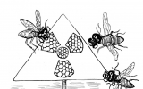 昆虫对辐射的感知可能比想象中更敏感