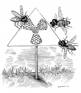 昆虫对辐射的感知可能比想象中更敏感