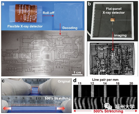 福州大学研究团队在我国柔性X射线成像技术发展方面取得重要突破
