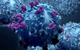 Mayo Clinic最新研究：质子治疗可诱导生物学反应 用于治疗抵抗性癌症