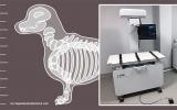富士胶片推出VXR兽医X射线室 简化兽医工作流程