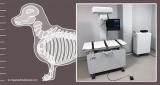 富士胶片推出VXR兽医X射线室 简化兽医工作流程
