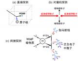 研究提出暗物质直接探测实验中的新周日调制效应