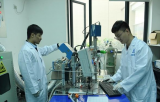 中国在ITER上开展产氚技术测试进入具体实施阶段