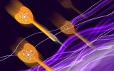 物理学家翻转粒子加速器以获得清晰的原子核视野