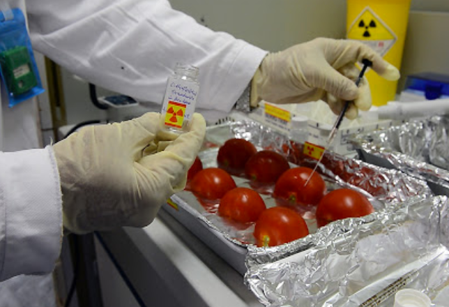 利用核技术增强食品安全和农业系统适应力