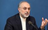 伊朗原子能组织主席：将于国家核技术日展出重要成就