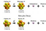 为什么有些元素具有放射性?原子核如何进行放射性衰变?