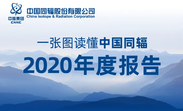 一张图读懂中国同辐2020年度报告