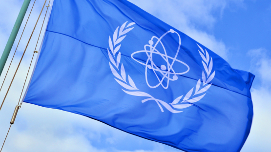 国际原子能机构总干事称伊朗已达成核查和监督协议