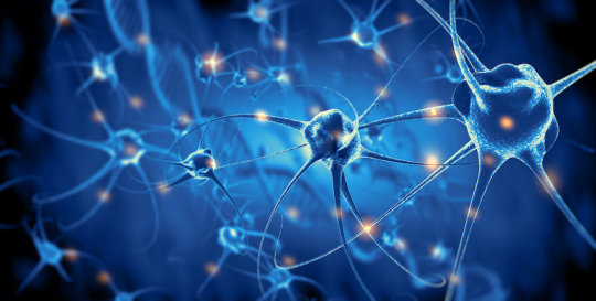 <p>新的工具通过结合超声波和遗传学来激活大脑深层神经元</p>
