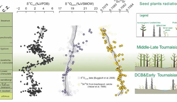 <p>种子植物的辐射可能是触发晚古生代冰期直接原因</p>
