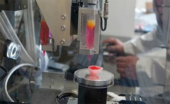 科学家3D打印出可存活30天的人体组织，有望在太空上开展研究