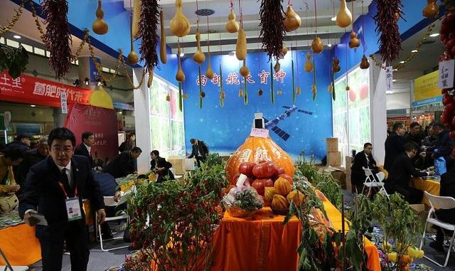 为什么神舟飞天每次都带“它”?看我国“太空种子”如何“既上天又入地”