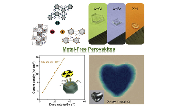 我所制备无金属钙钛矿单晶用于生物友好型X射线探测