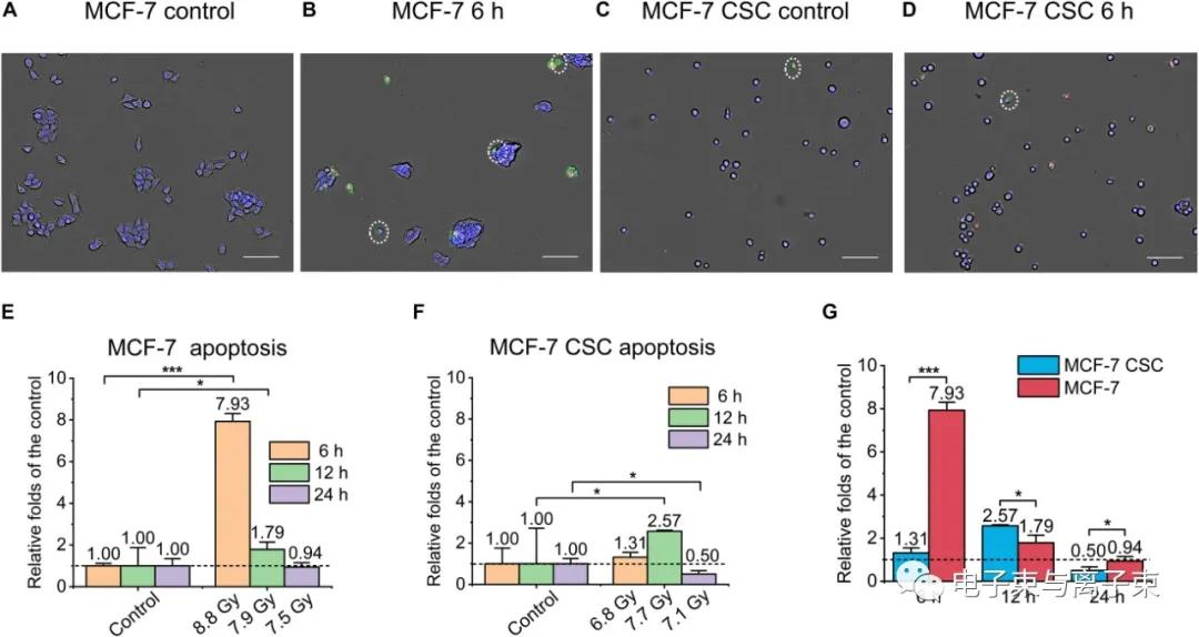 北京大学杨根课题组在FLASH放疗等辐射生物物理领域的研究进展