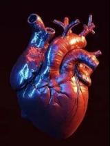 重大突破！首个3D打印全尺寸人体心脏模型震撼来袭