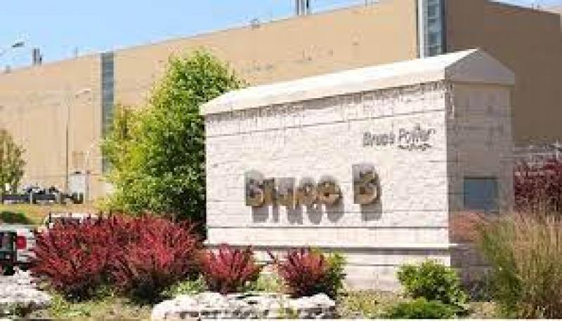 布鲁斯电力公司计划投资同位素开发等项目