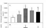 沈阳生态所利用同位素技术在黑土农田肥料氮转化过程调控与高效利用研究中取得进展