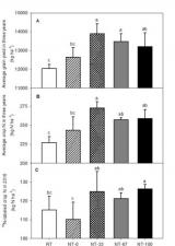 沈阳生态所利用同位素技术在黑土农田肥料氮转化过程调控与高效利用研究中取得进展