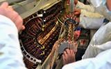 大型强子对撞机(LHC)成功安装CMS像素跟踪器
