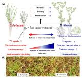沈阳生态所利用氮15在植物生长特性对沙化抗性与植物元素含量关联关系方面取得进展